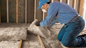 Best Insulation Removal  in Avondale, PA